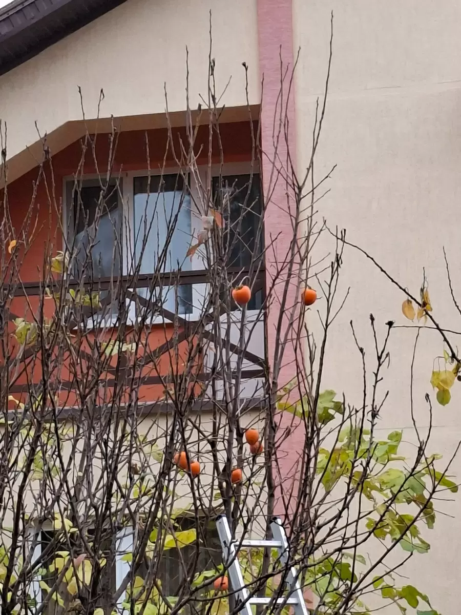 Теплая осень: удивительные моменты и заботы о себе