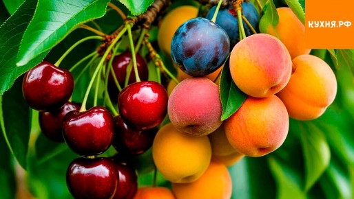 ��������� ������: ����, ������� ������ �� ����� ������