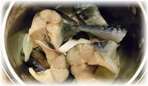 Как правильно засолить скумбрию: секреты домашнего приготовления