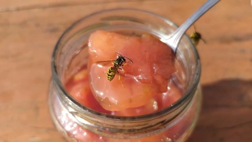 �������� ��������: ������������ ������� � ��������� ����, �������� � �������������!