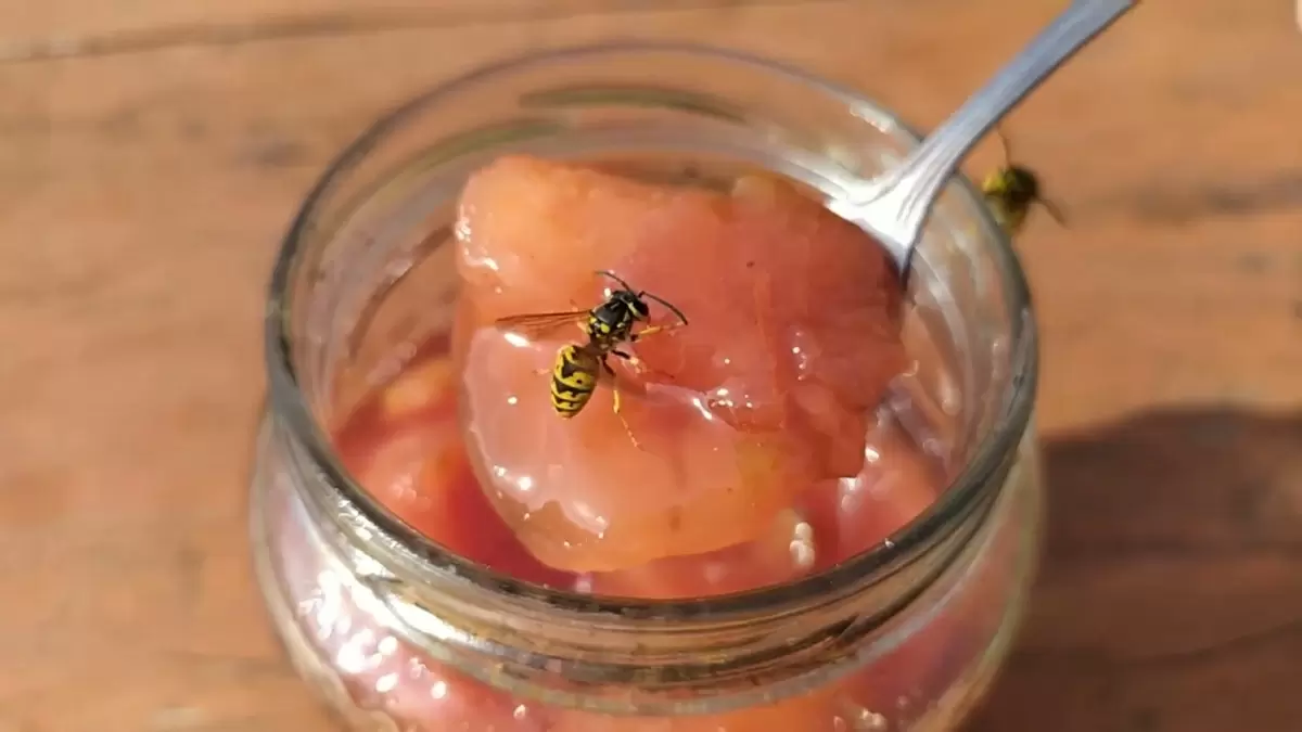 Грушевое волнение: удивительное варенье с кусочками груш, готовьте с удовольствием!