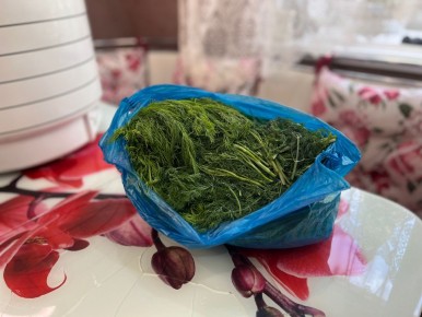 ������� �������� ������: ��� ������������ � ����� �� �����