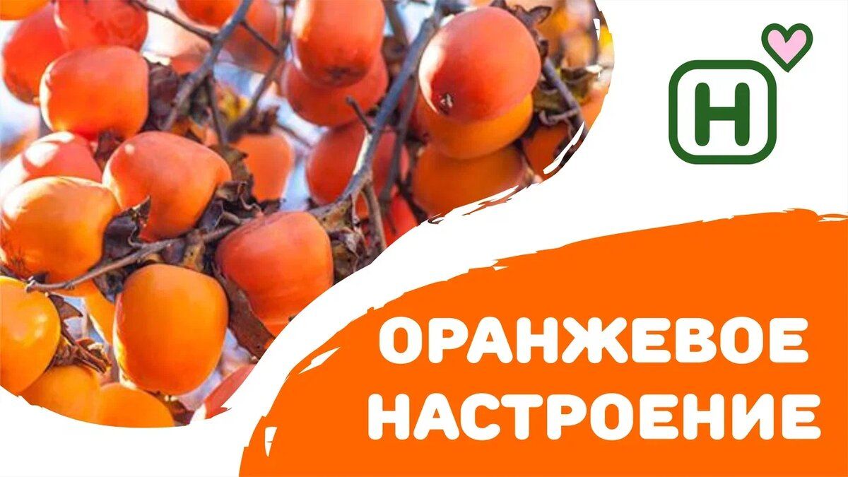 �����: ��������� ����� �����