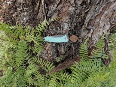 ����� �� �������: ��������� ����� ���