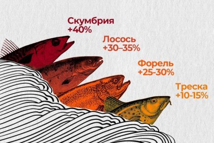 ����� ����� ����� ���� �������� �� 10�40%: �������� � ������ ������� ������� ����