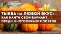 ����� ��� �������: ��� ������� ��������� ���� ��� ������ �����