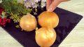Ароматные блины с луком для Масленицы: легкий и вкусный рецепт