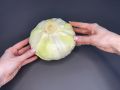 Ленивые радости: как просто и вкусно приготовить капусту с мясом или без