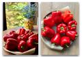 Как запечь болгарский перец для вкусных закусок: секреты и рецепты