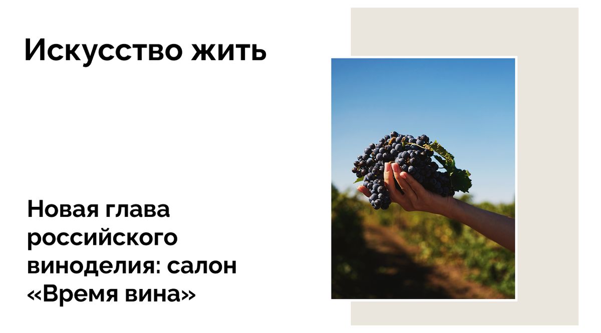 Уникальные вина и инвестиционные тренды: итоги салона «Время вина»