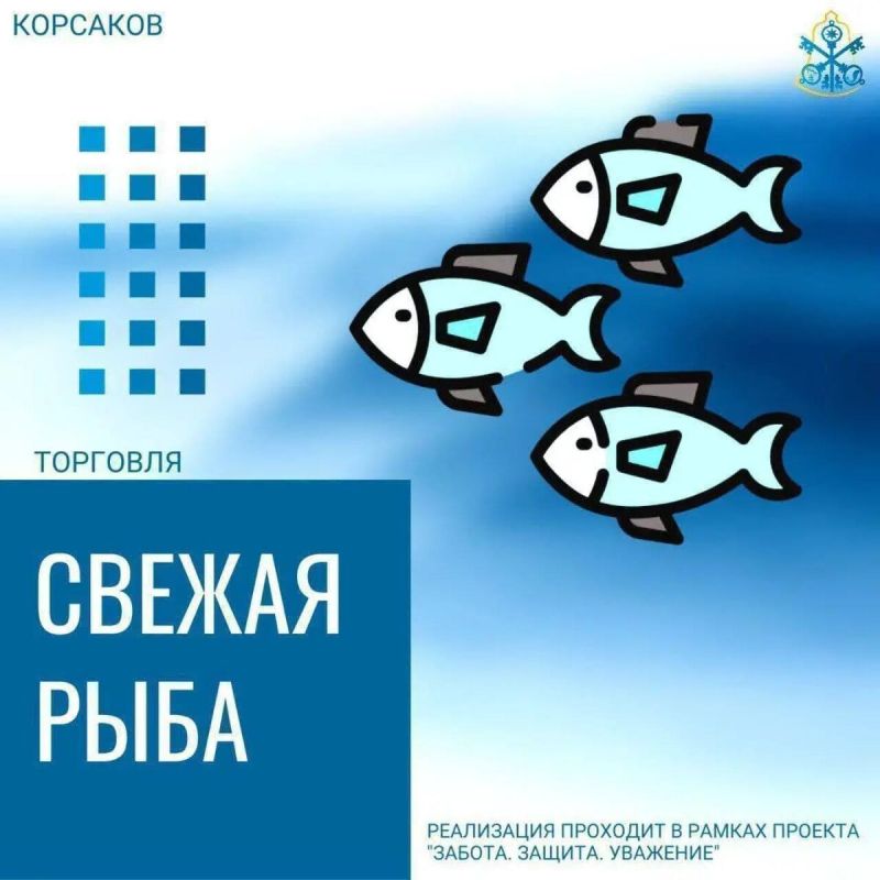 Утренний ажиотаж наваги: что и где купить по выгодной цене